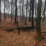 Ein längst vergessener Ort der Erholung. Das Hallenbad.