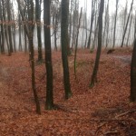 Was war hier?  Luftabwehr? Ein kleiner Bunker? Man weis es nicht!